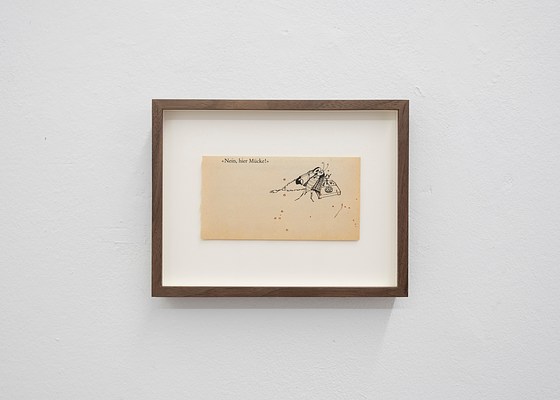 Image 45 of 51