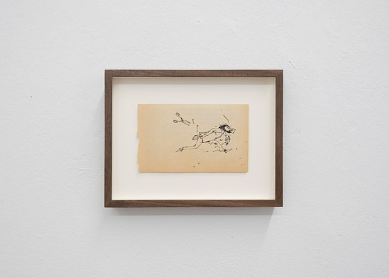 Image 40 of 51