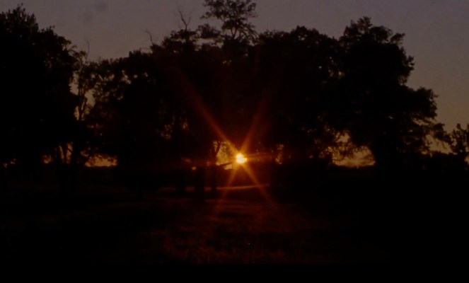 Image 15 of 21