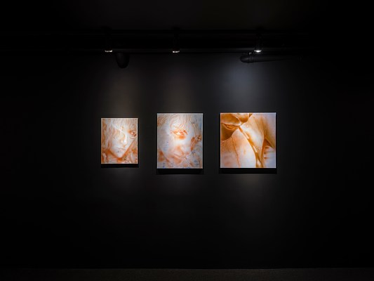 Image 1 of 20