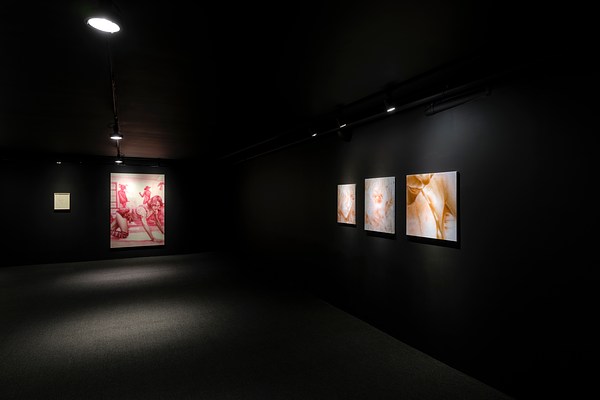Image 5 of 20