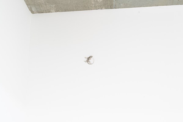 Image 28 of 54