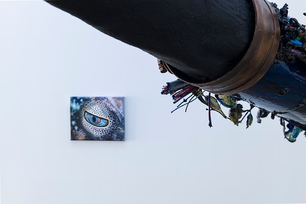 Image 10 of 41