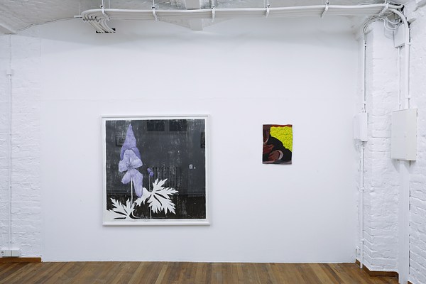 Image 3 of 32