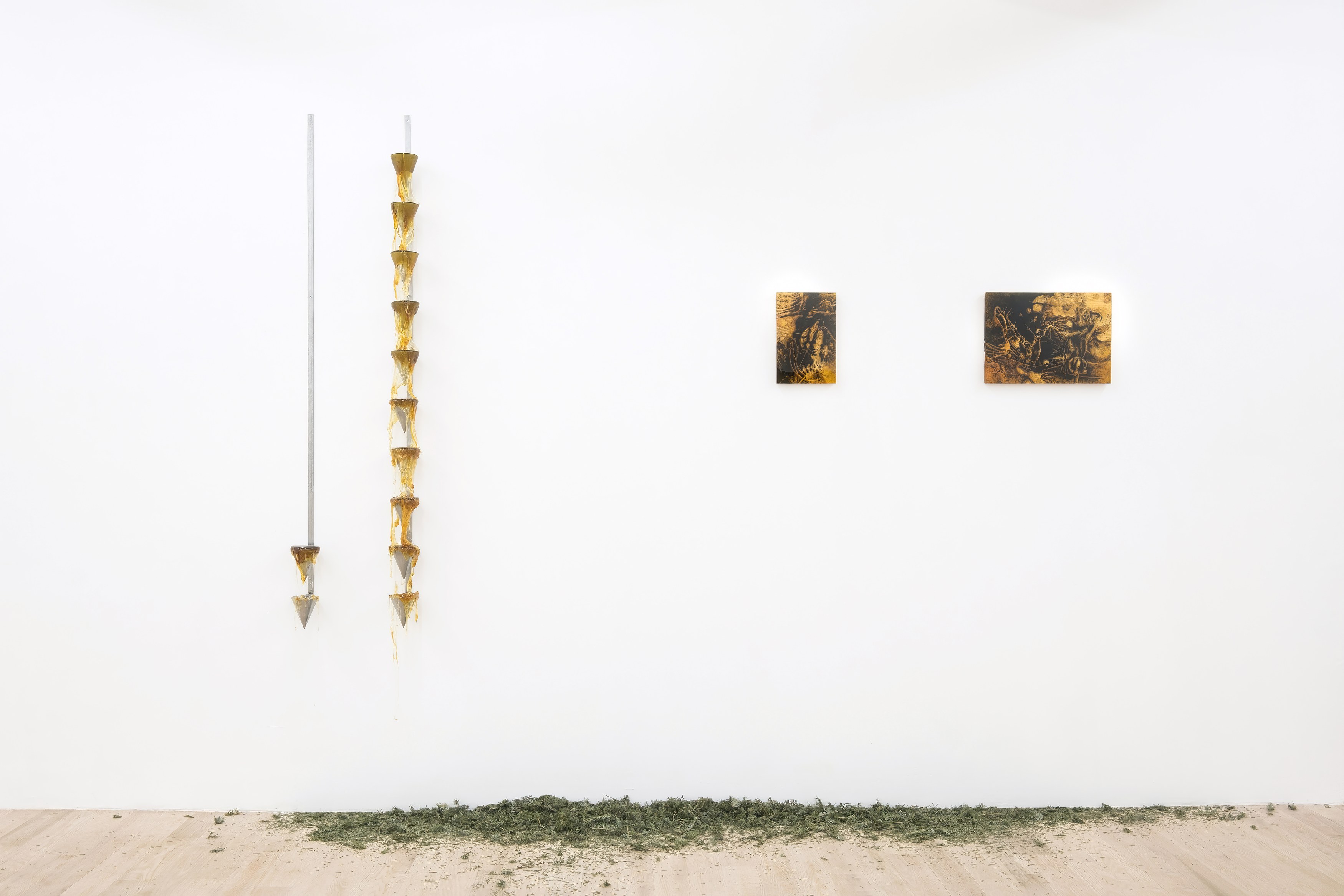 Installation view 8