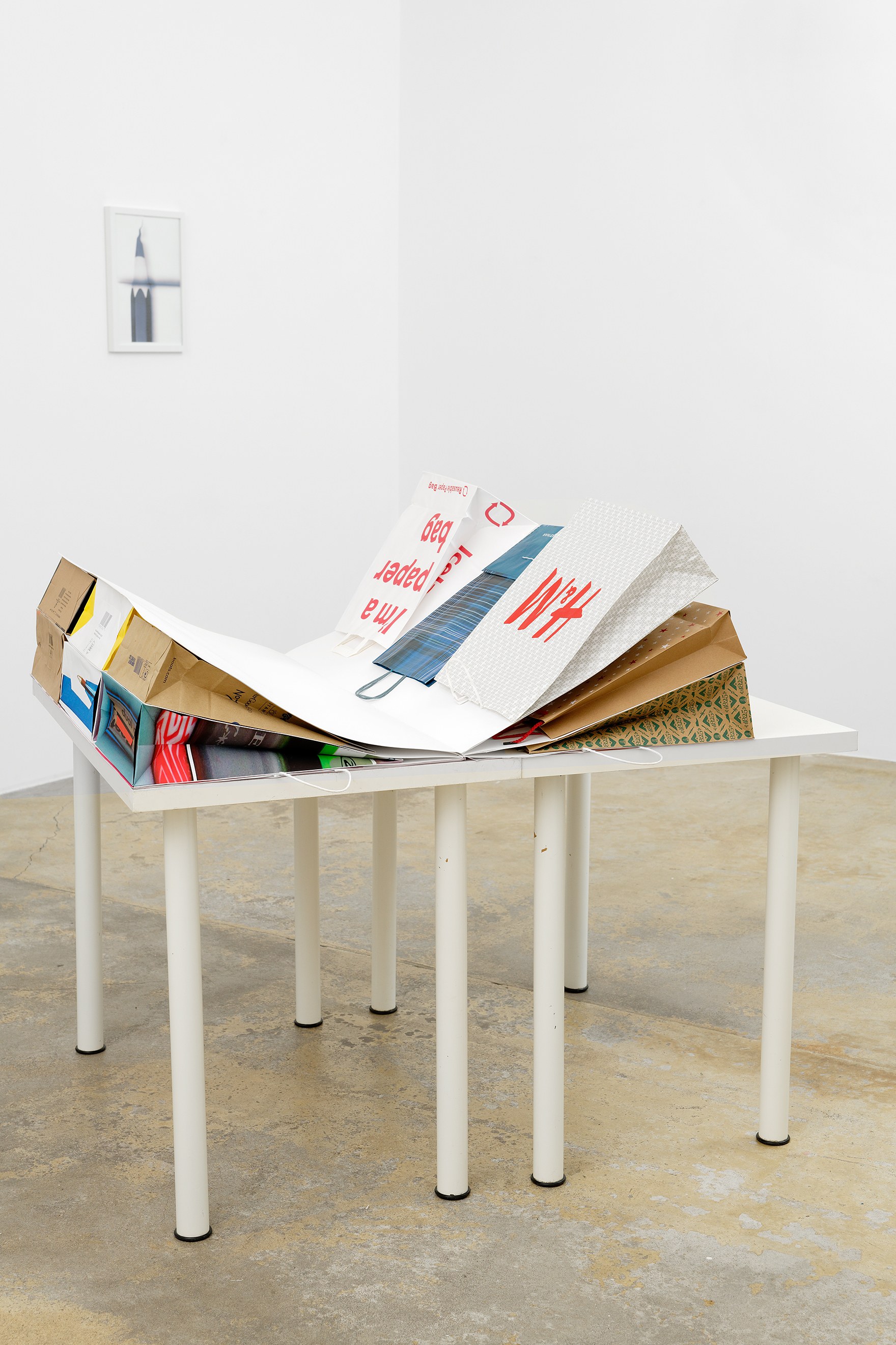 Sara MacKillop, custom binding at Galerie Florence Loewy, photo 3