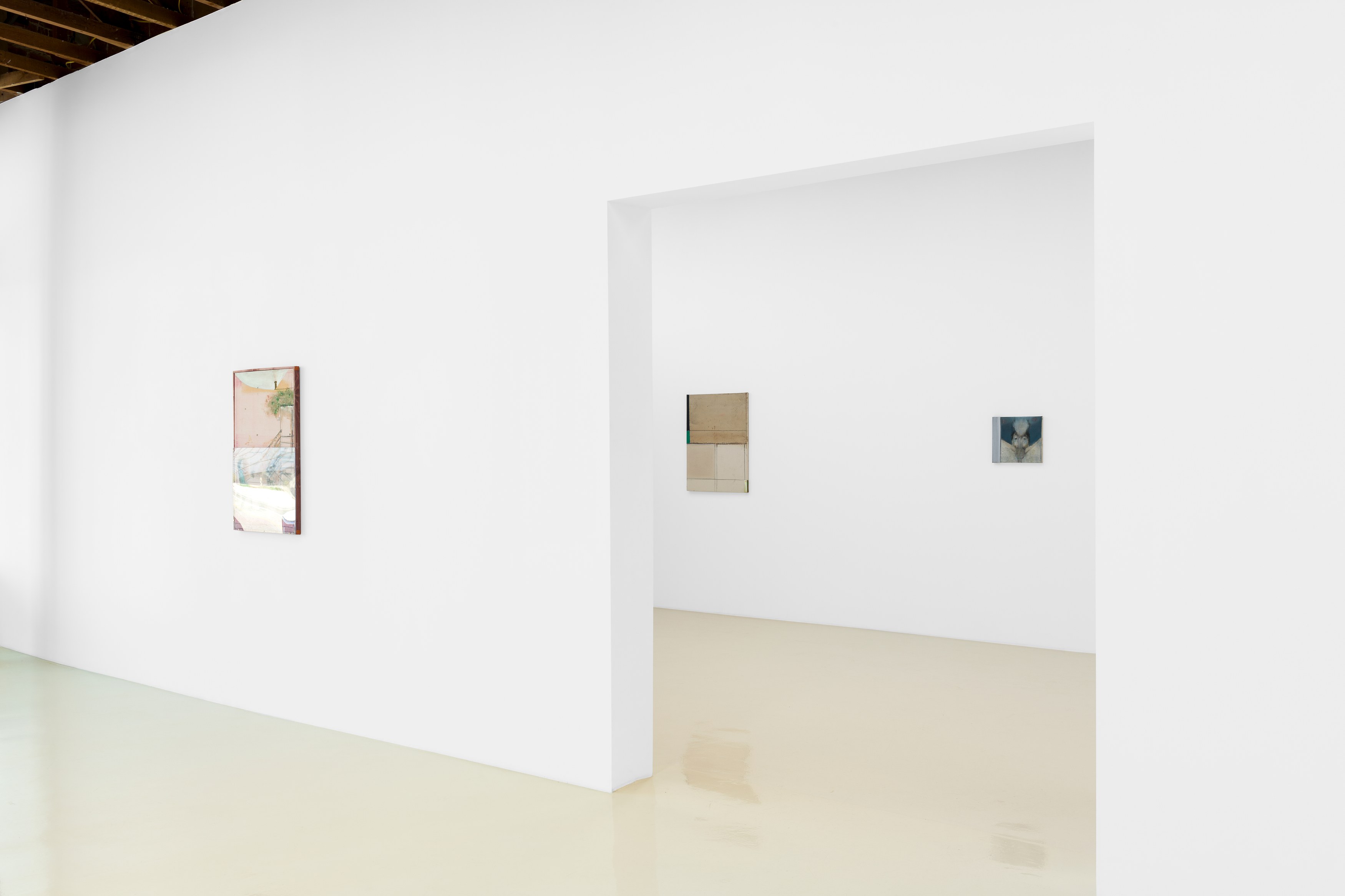 Merlin James, Arrivals at Chris Sharp Gallery, photo 6