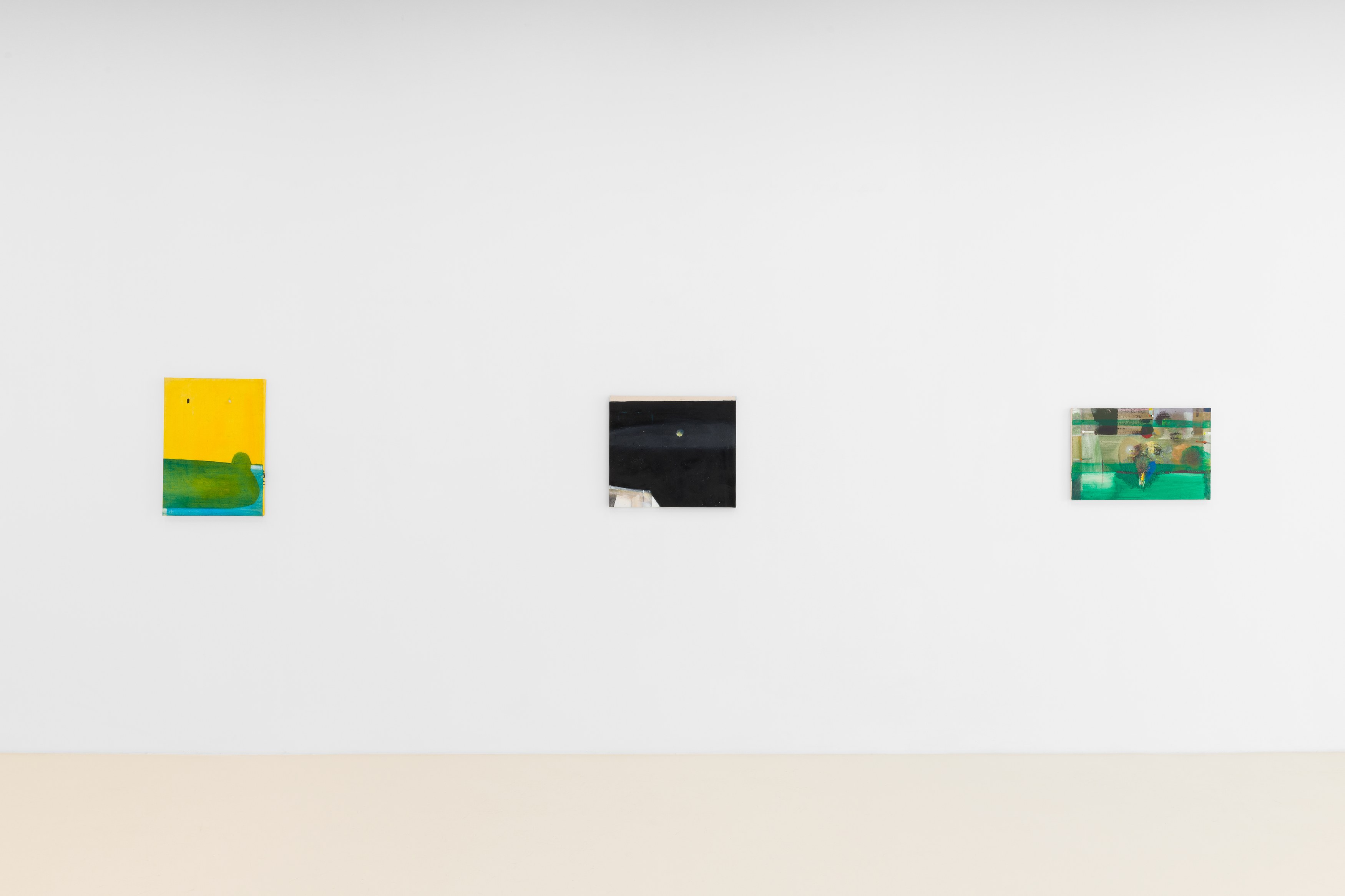 Merlin James, Arrivals at Chris Sharp Gallery, photo 27