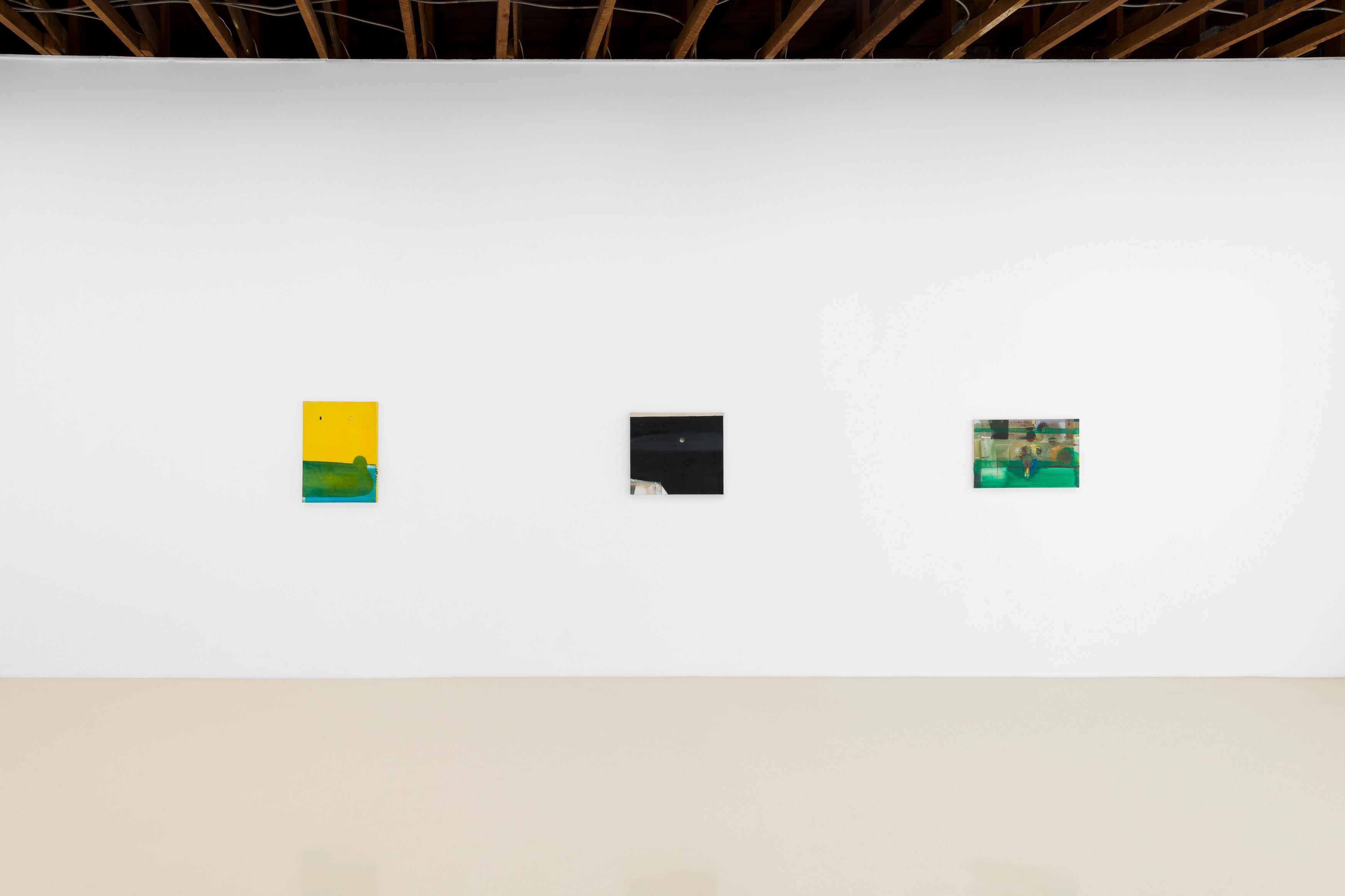 Merlin James, Arrivals at Chris Sharp Gallery, photo 28