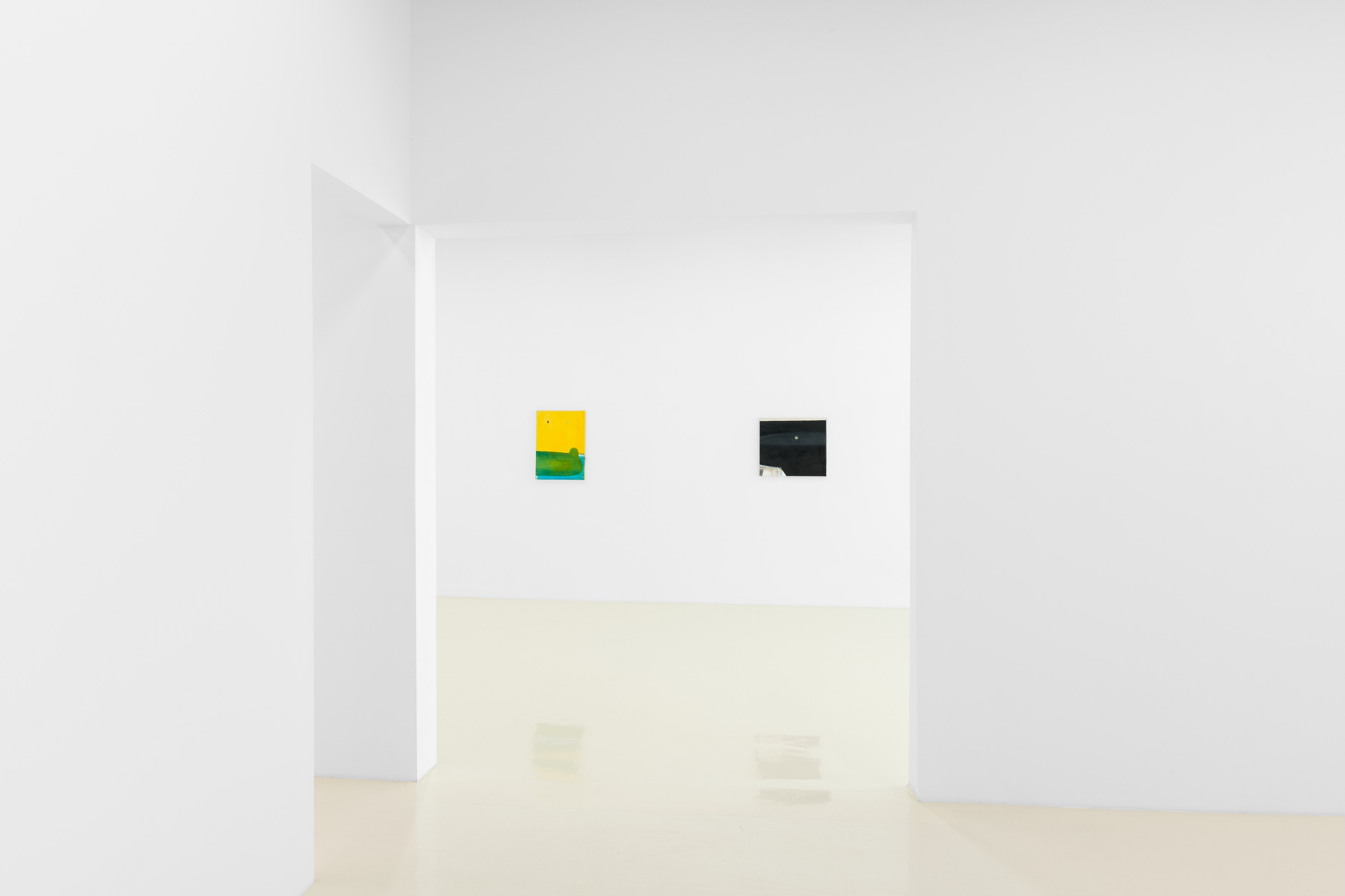 Merlin James, Arrivals at Chris Sharp Gallery, photo 30