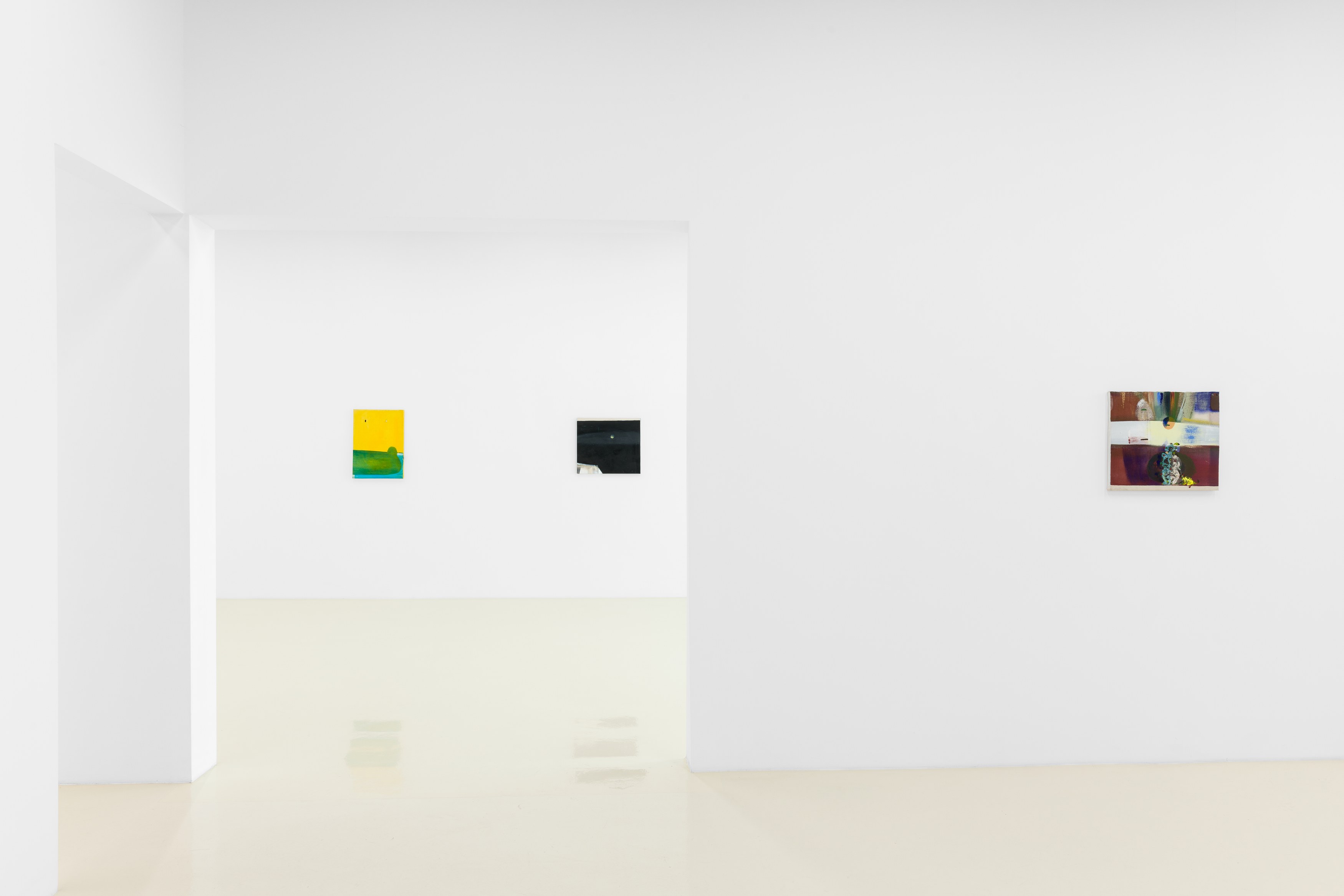 Merlin James, Arrivals at Chris Sharp Gallery, photo 29