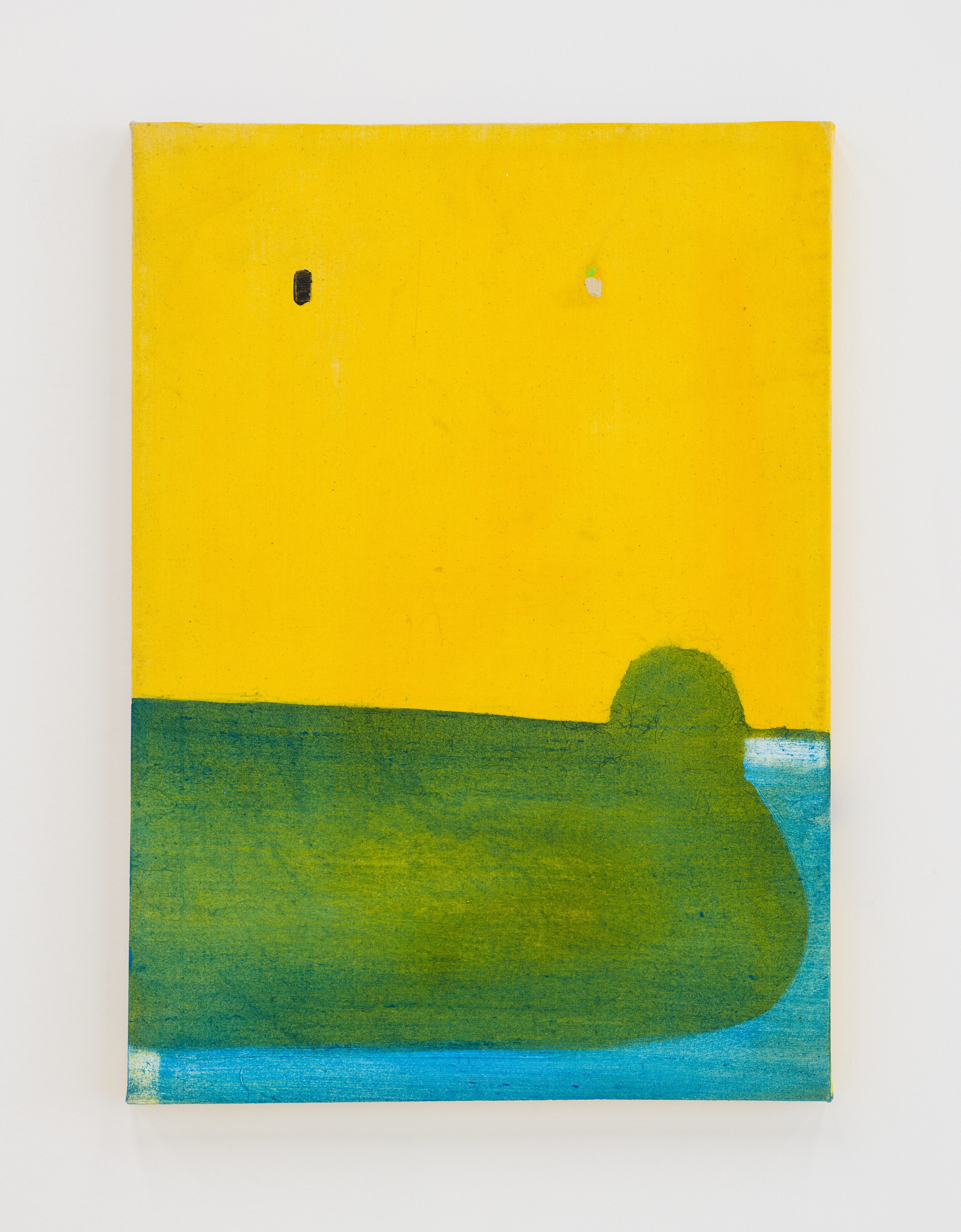 Merlin James, Arrivals at Chris Sharp Gallery, photo 58