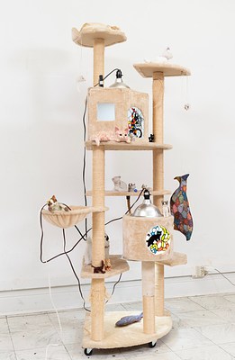 Image 3 of 23