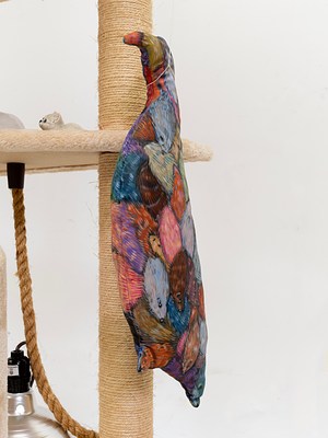 Image 11 of 23
