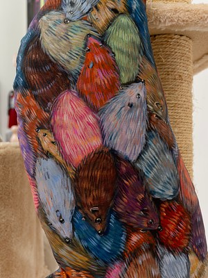 Image 13 of 23