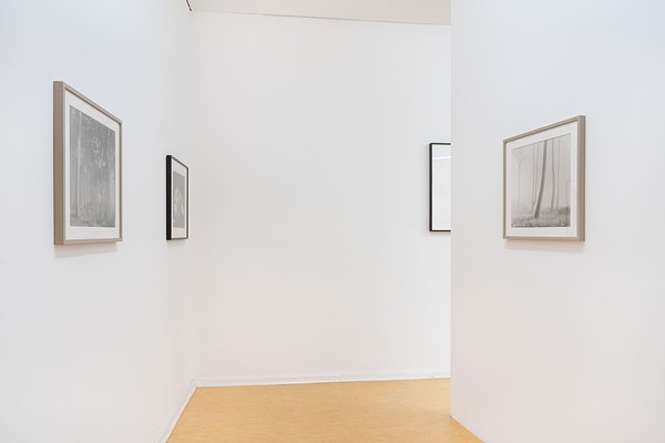 Image 21 of 26