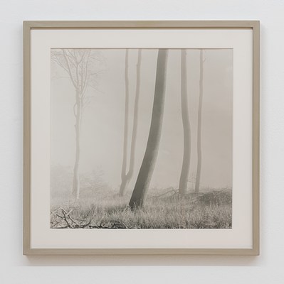 Image 24 of 26