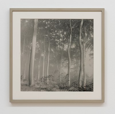 Image 23 of 26