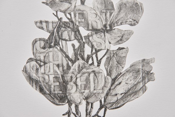 Image 24 of 47