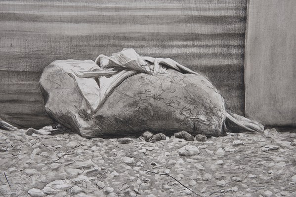 Image 34 of 47