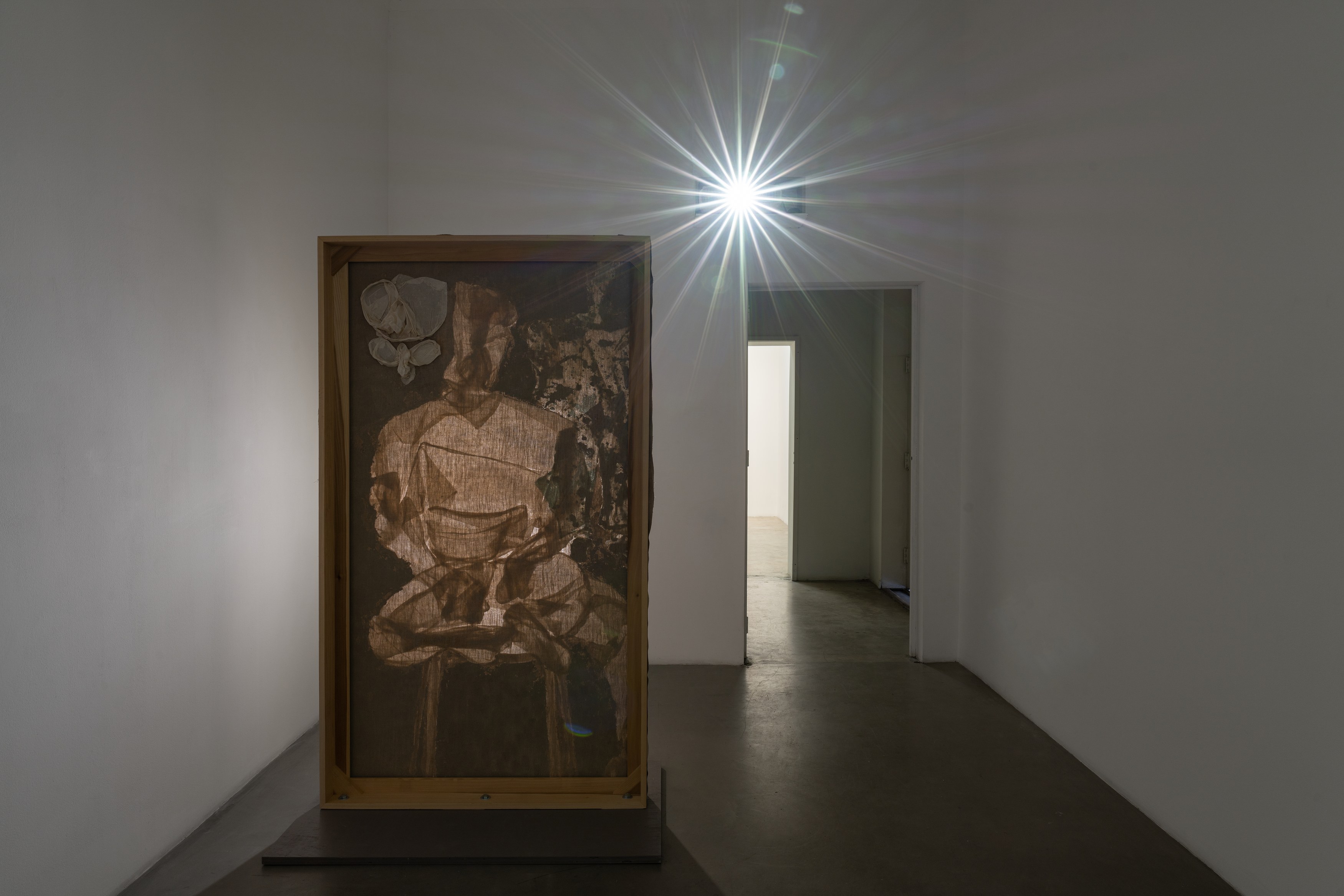 Dona Nelson, Moby Dick at Michael Benevento Gallery, photo 6