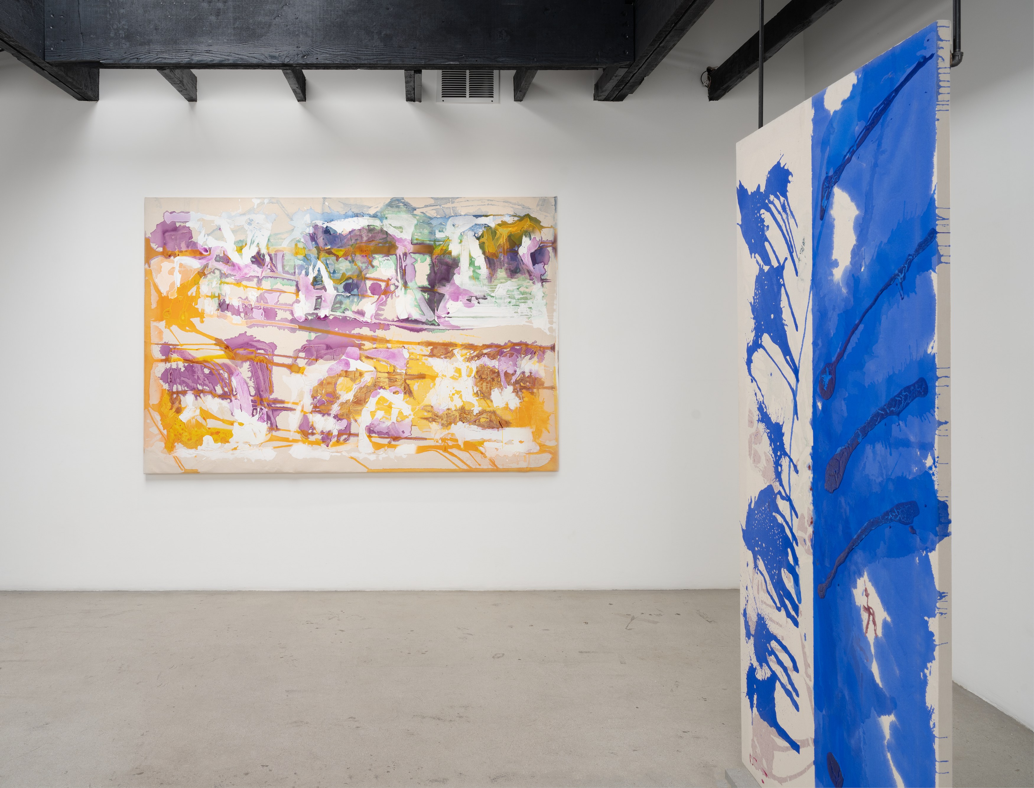 Dona Nelson, Moby Dick at Michael Benevento Gallery, photo 15
