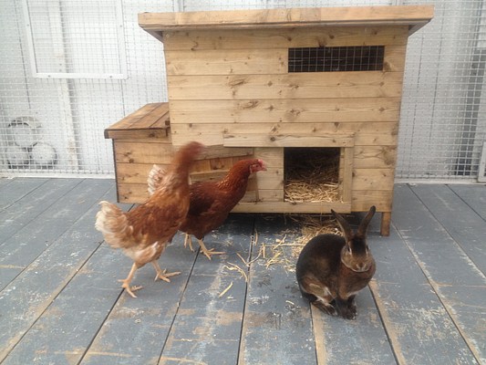 Image 12 of 21