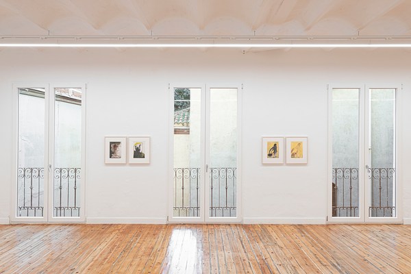 Image 10 of 35