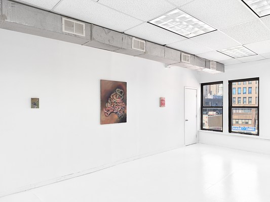 Image 4 of 31