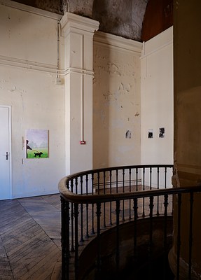 Image 13 of 36