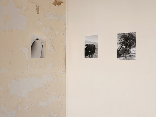 Image 14 of 36