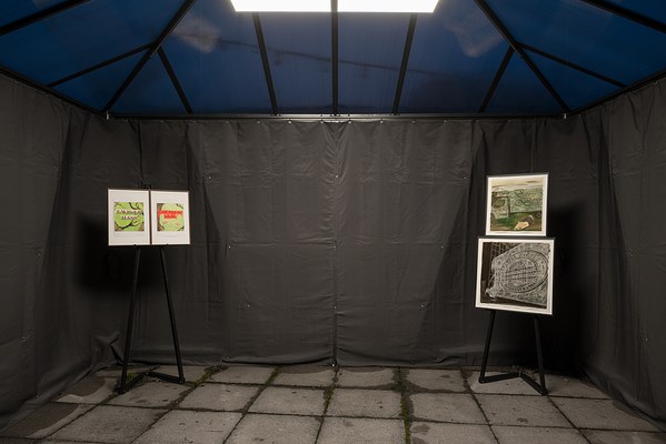 Image 2 of 11