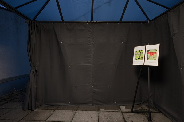 Image 4 of 11