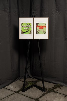 Image 8 of 11