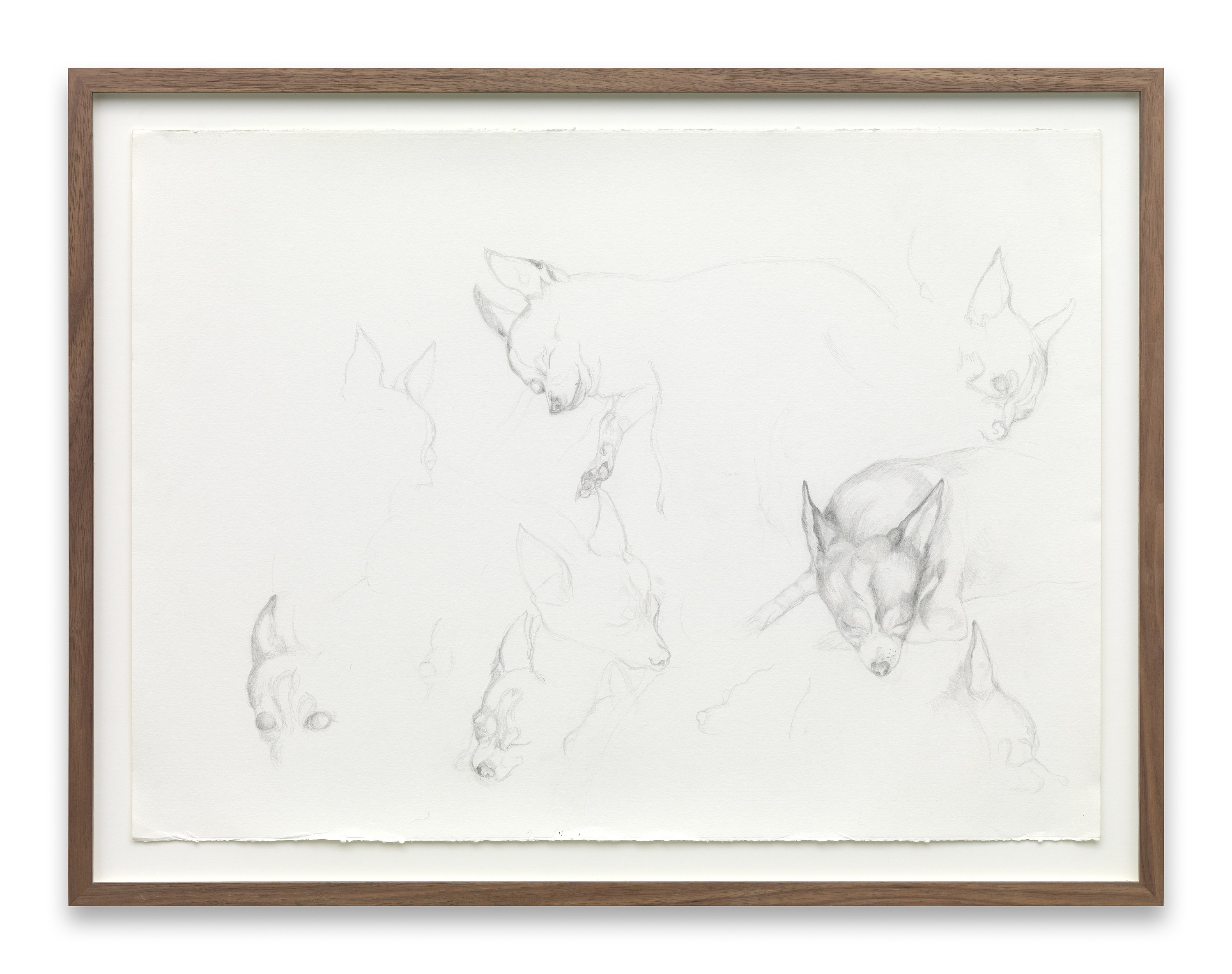 Untitled, Untitled at MD 72, photo 9