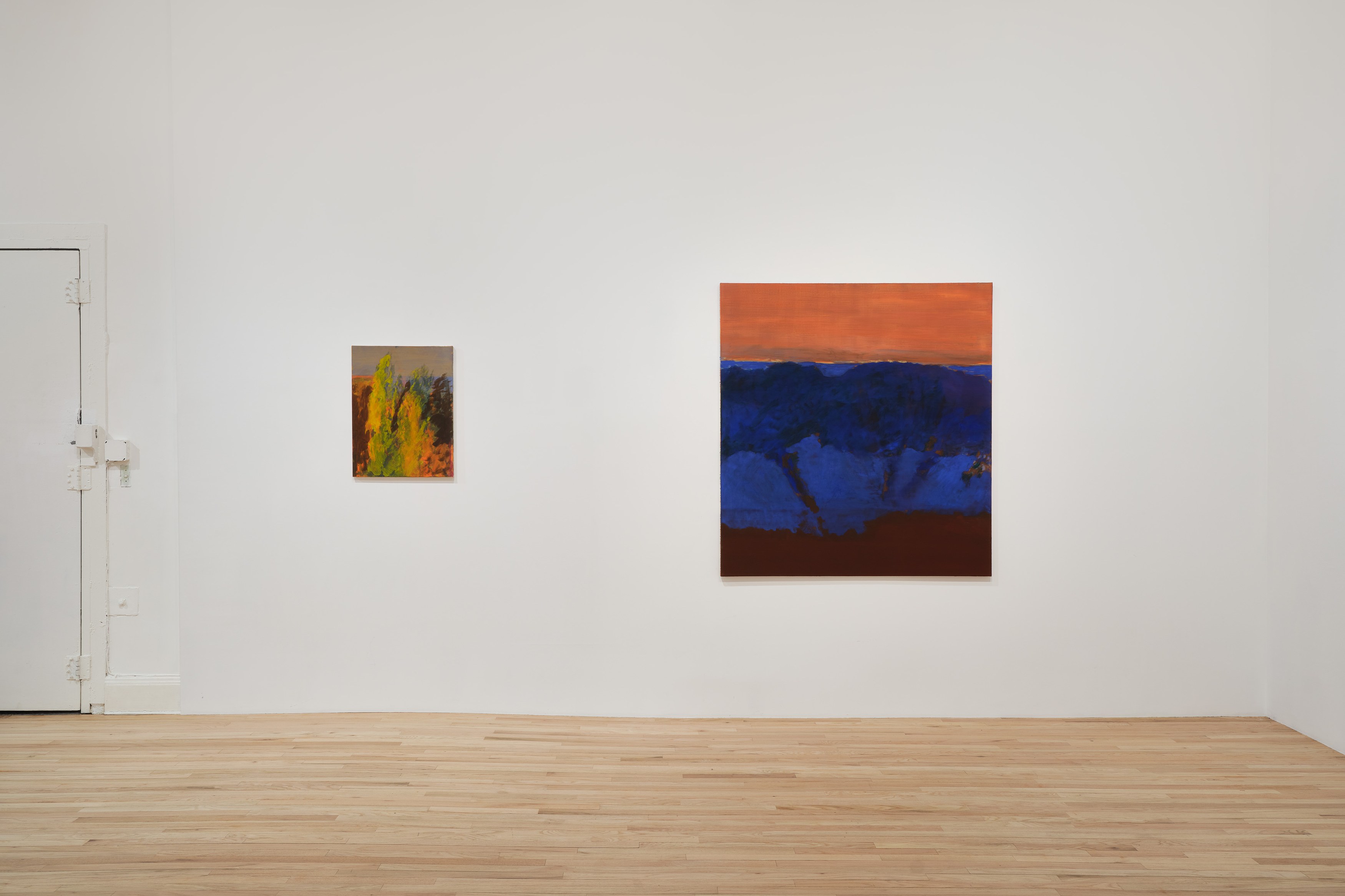 Robert Bordo, Marina Rheingantz, Christine Safa, Some Landscapes at Bortolami, photo 10
