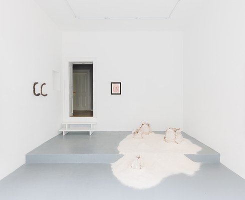Image 1 of 17