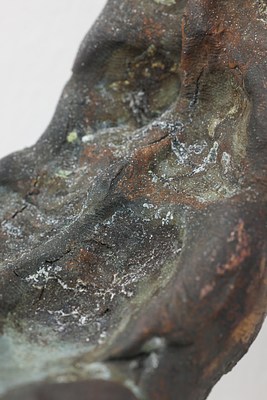 Image 11 of 17