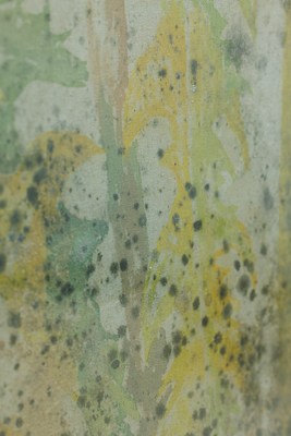 Image 13 of 17
