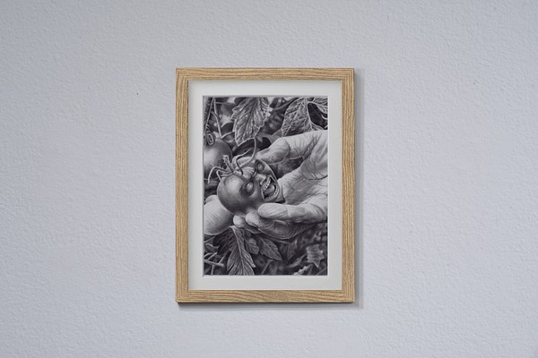 Image 2 of 18