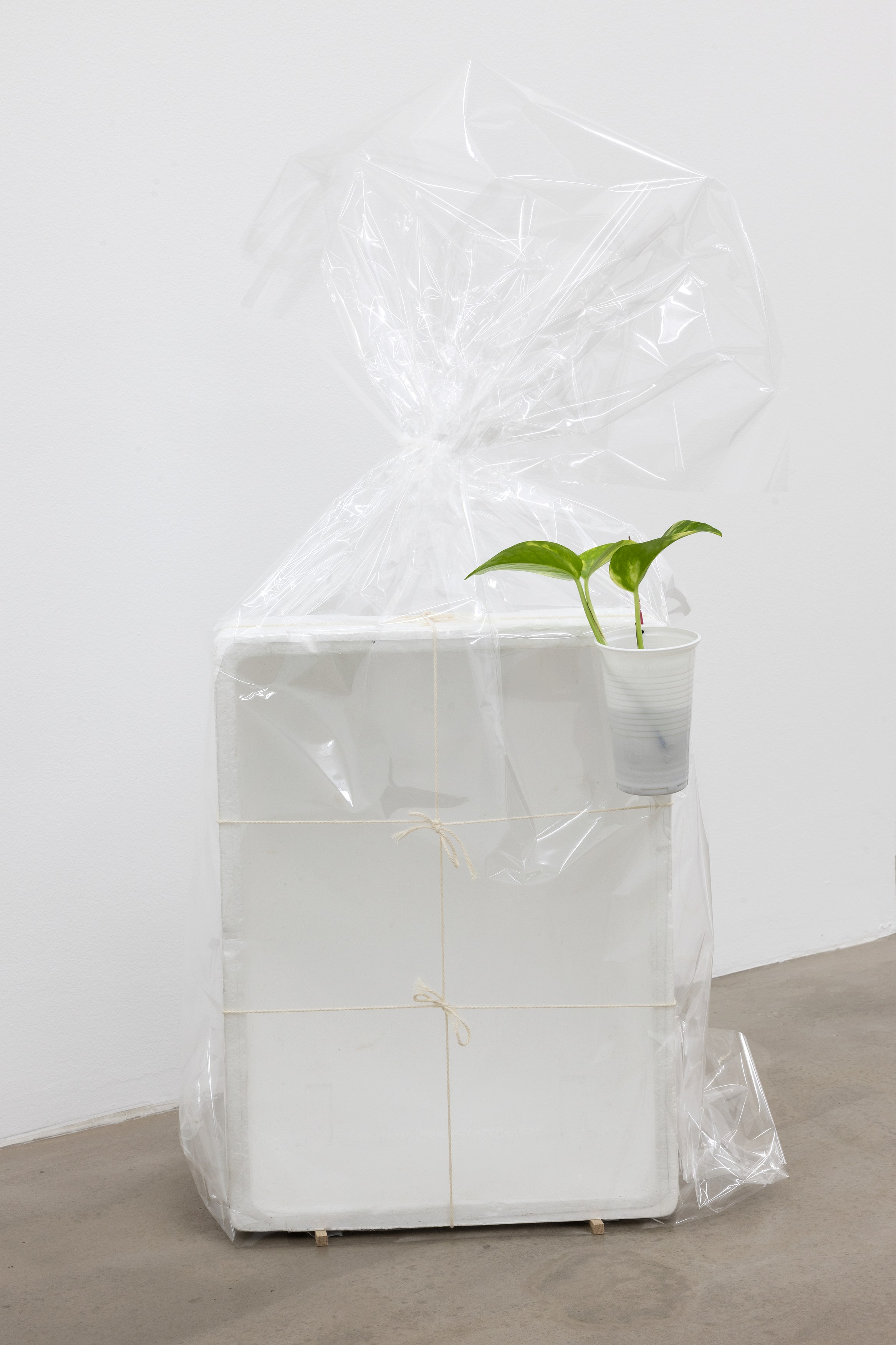 Phung-Tien Phan, is blue at Édouard Montassut, photo 8