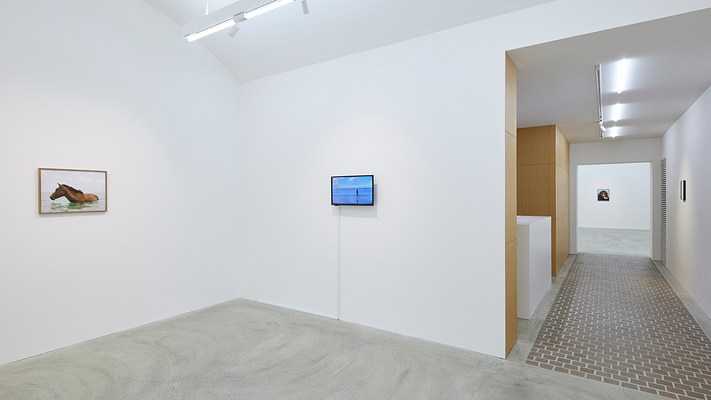 Image 2 of 14