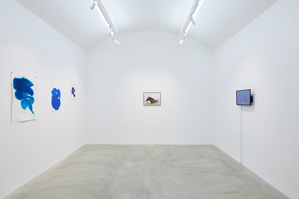 Image 1 of 14