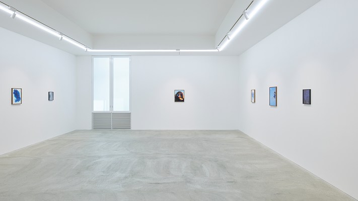 Image 4 of 14