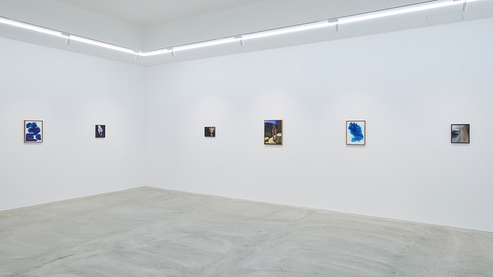 Image 6 of 14