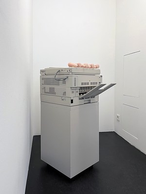 Image 4 of 31