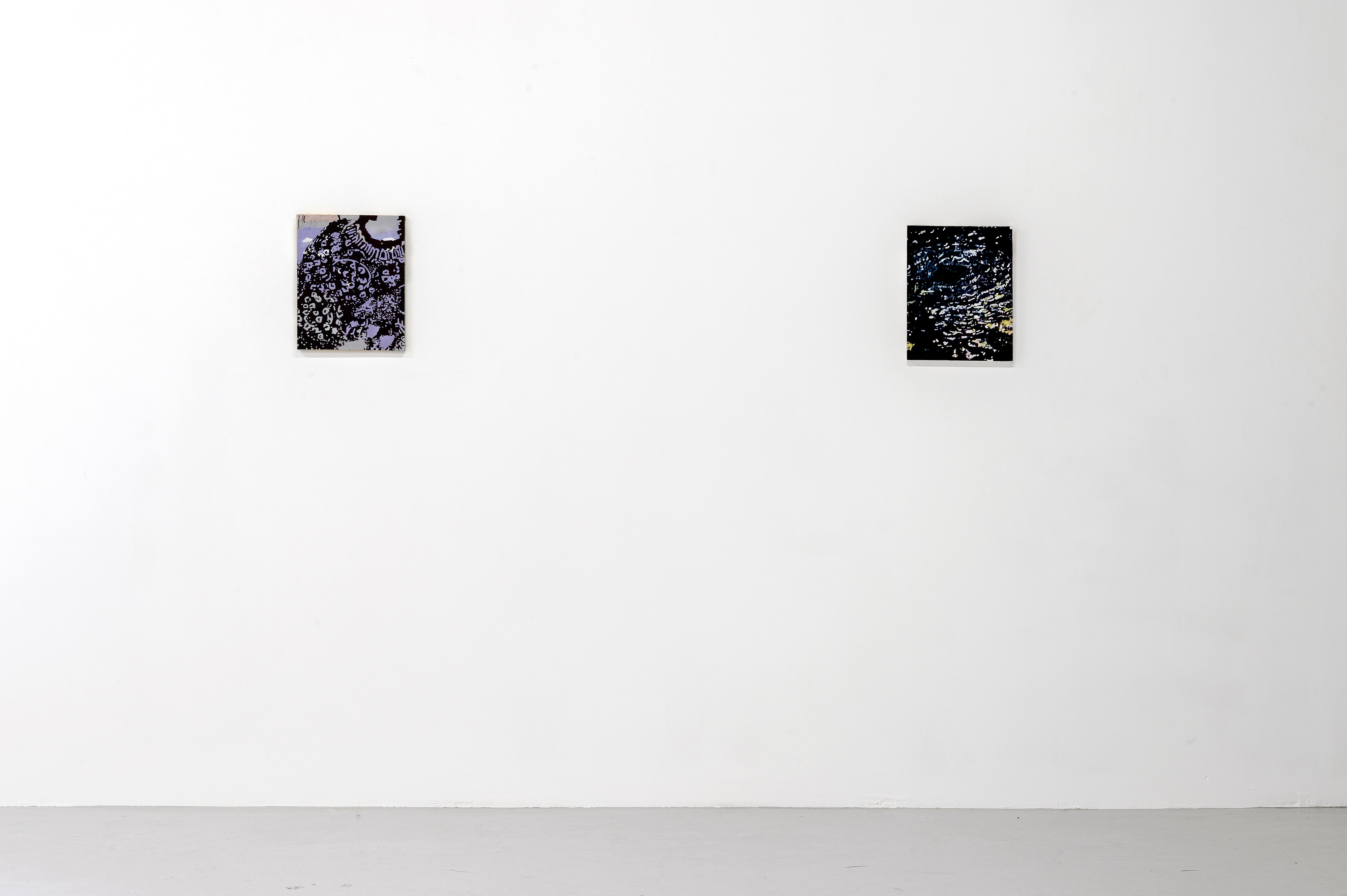 Sadie Benning, Cigarette Immatérielle at Air de Paris, photo 8