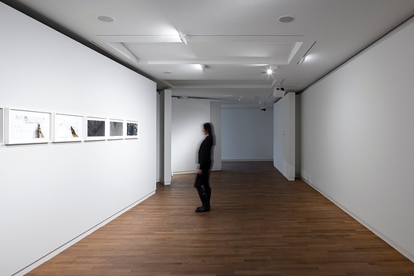 Image 4 of 11