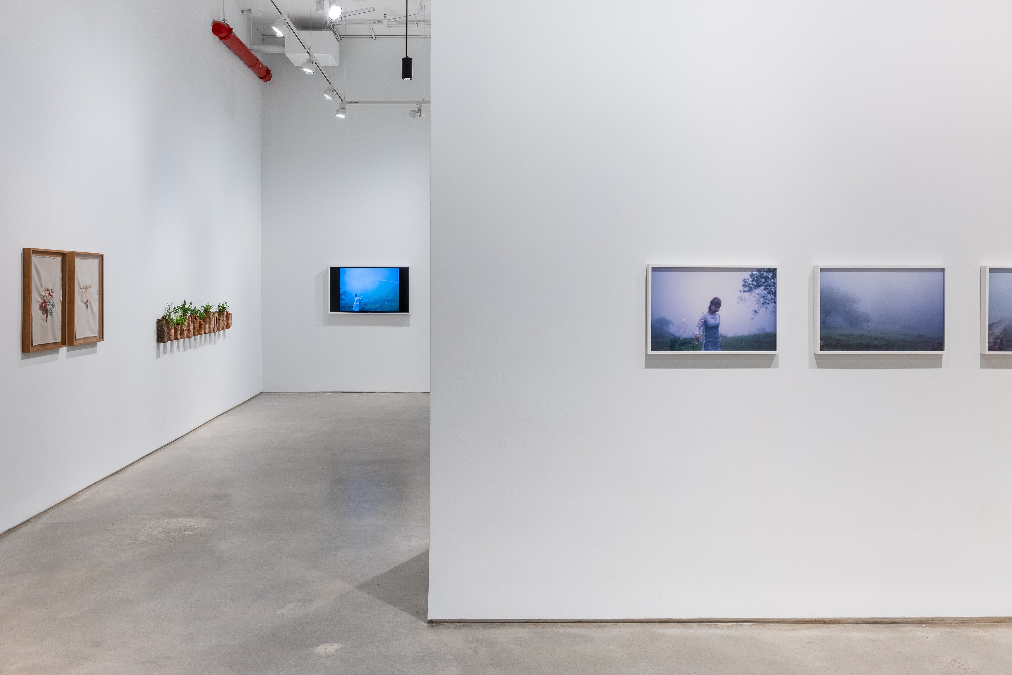 Brígida Baltar, To Make the World a Shelter at Nara Roesler, photo 18