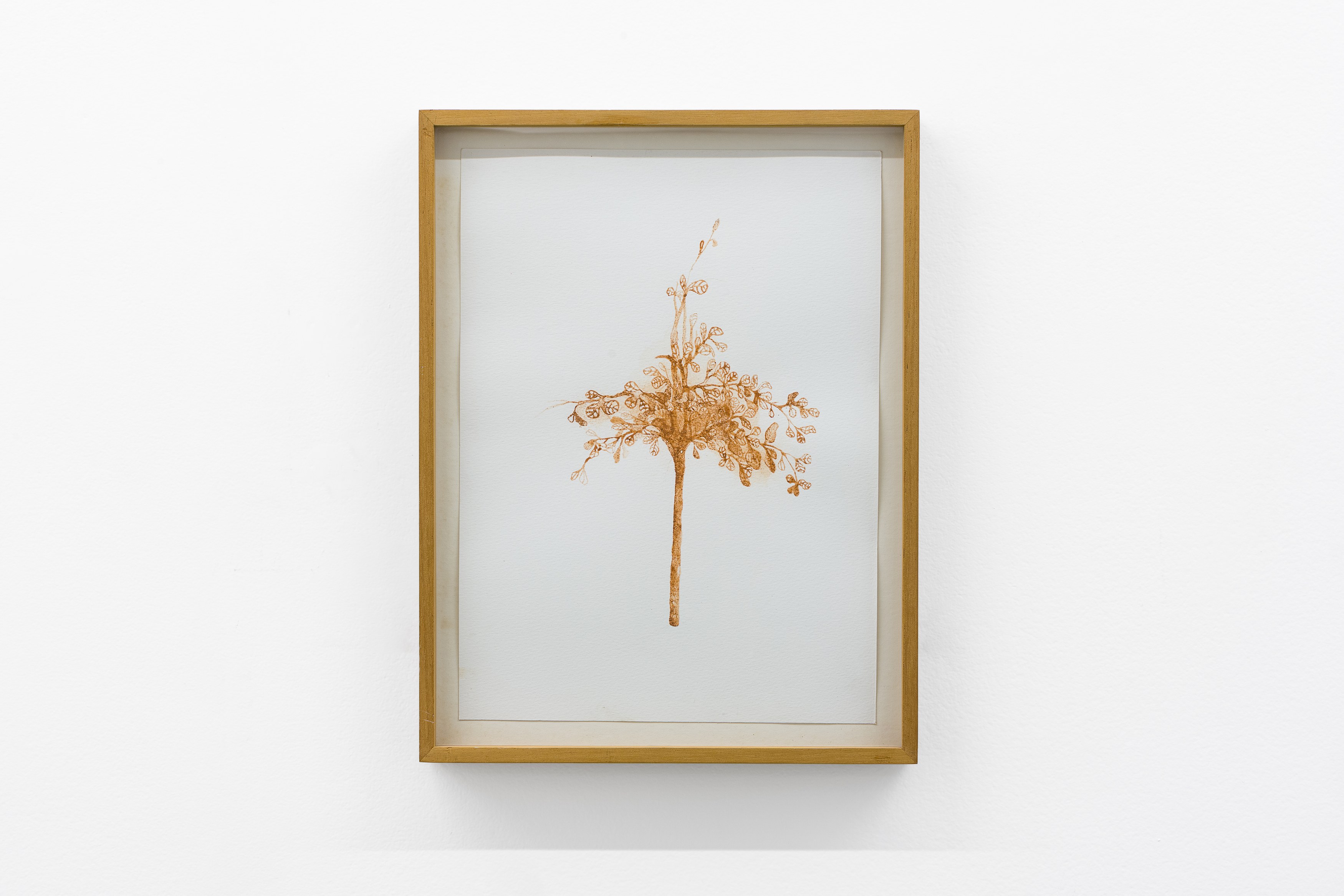 Brígida Baltar, To Make the World a Shelter at Nara Roesler, photo 21